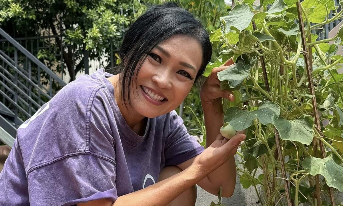 Thưởng đăng ký AU88 và cảm hứng sống xanh từ vườn rau sân thượng của Phương Thanh - hình ảnh - betau88.vip
