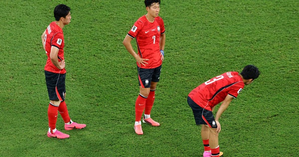 AU88 hỗ trợ 24/7: Hàn Quốc thất vọng World Cup, người hâm mộ Việt tìm chỗ dựa mới - hình ảnh - betau88.vip