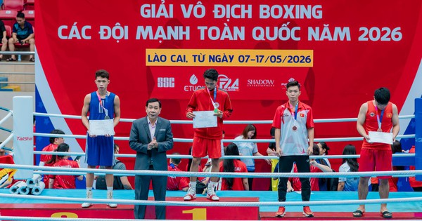 AU88 VIP và bê bối bầu cử tại Liên đoàn Quyền anh Việt Nam - hình ảnh - betau88.vip
