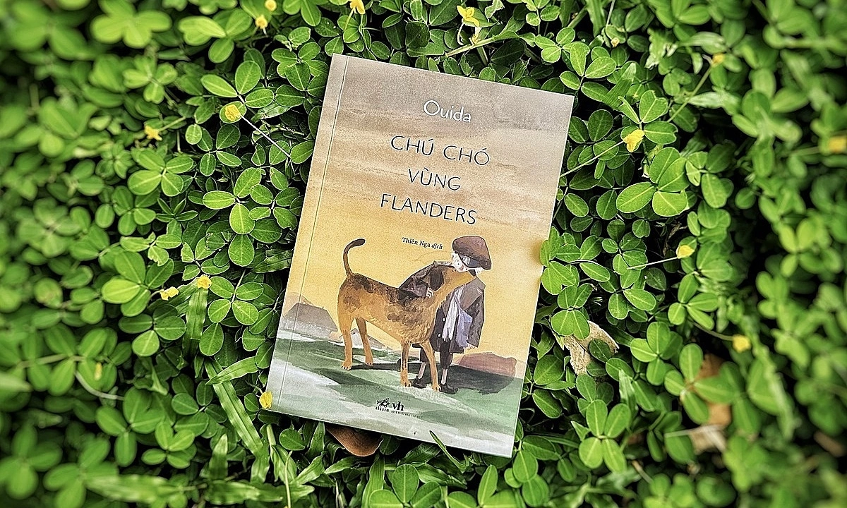 AU88 đổi thưởng và bài học về lòng tốt từ ‘Chú chó vùng Flanders’ - hình ảnh - betau88.vip