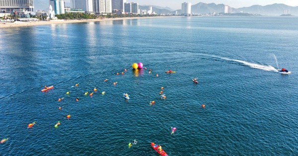 AU88 chính thức đồng hành cùng giải bơi biển SeaStar Nha Trang Bay 2026 - hình ảnh - betau88.vip