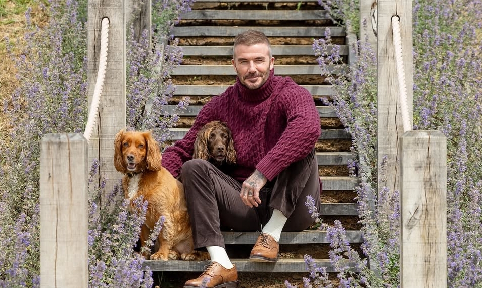 Phong cách mặc giàu ngầm của David Beckham và cơ hội thưởng đăng ký AU88 - hình ảnh - betau88.vip