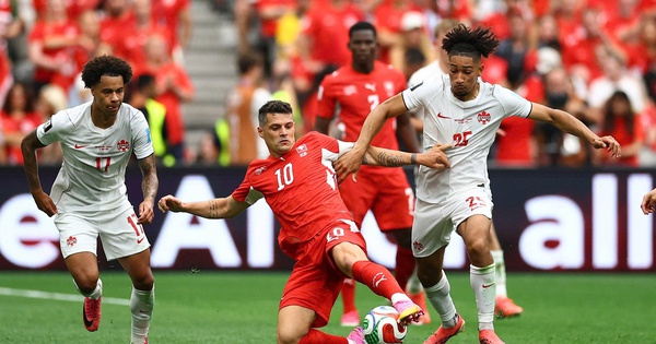 AU88 cược bóng đá: Thụy Sĩ vs Algeria – ‘Cáo sa mạc’ khó cản bước đội bóng châu Âu? - hình ảnh - betau88.vip AU88 cược bóng đá: Thụy Sĩ vs Algeria – ‘Cáo sa mạc’ khó cản bước đội bóng châu Âu? - hình ảnh - betau88.vip